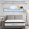 12 Inch Queen Size Hybrid Mattress - Medium Firm, Memory Foam & Pocket Springs, Motion Isolation, Edge Support, Pressure Relief 6