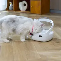 Smart Chip Recognition Pet Feeder Auto Food Dispenser for Multiple Cats and Dogs Anti Theft Eating Microchip Feeder 3