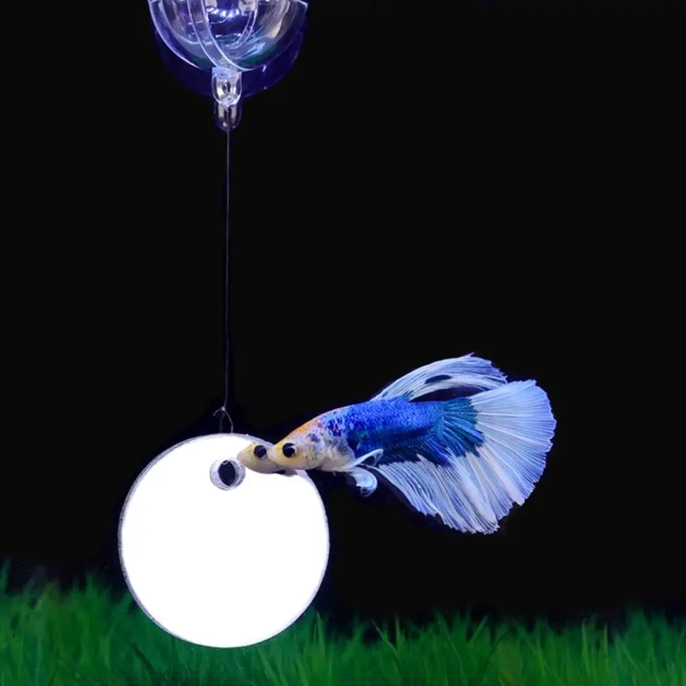 Water Plant Landscape Fish Tank Ornament 4/5/6CM Double-sided Acrylic Betta Training Mirror