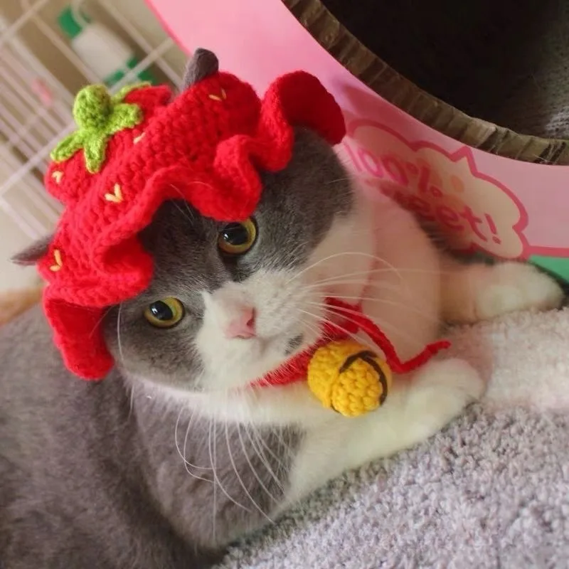 Cat Hat Puppy Kittens Knitted Party Photo Shoot Props Decoration Cat Accessories pet hat