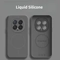 Grey 1