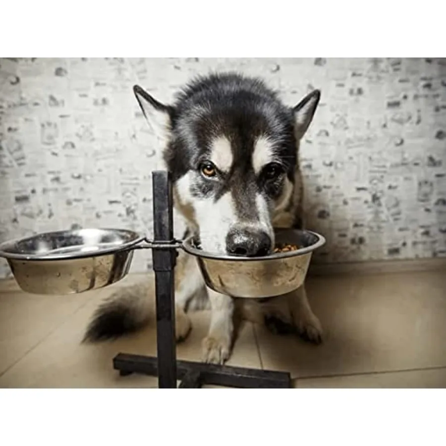 Stainless Steel Dog Bowl Set 5