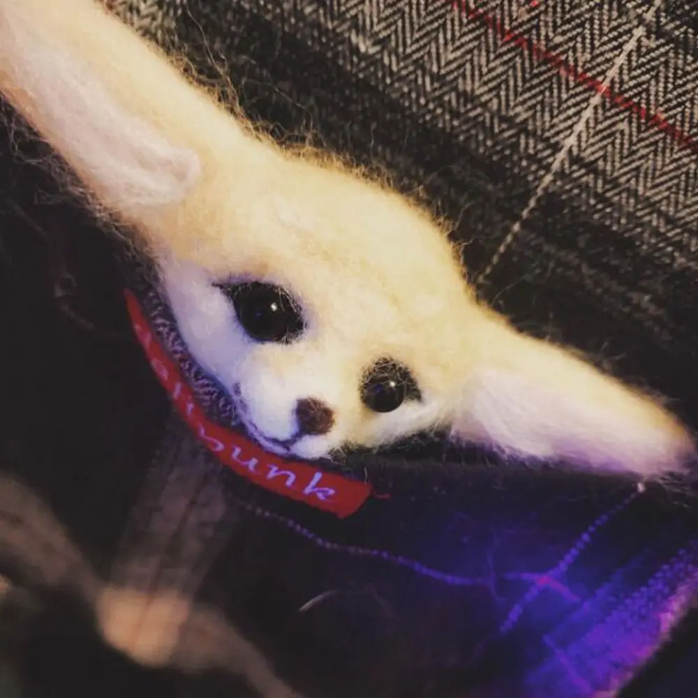 DIY Wool Felt Needle Felting Kit Raw Material Cartoon Animal Wool Doll Brooch Non-Finished Handmade Material Kit