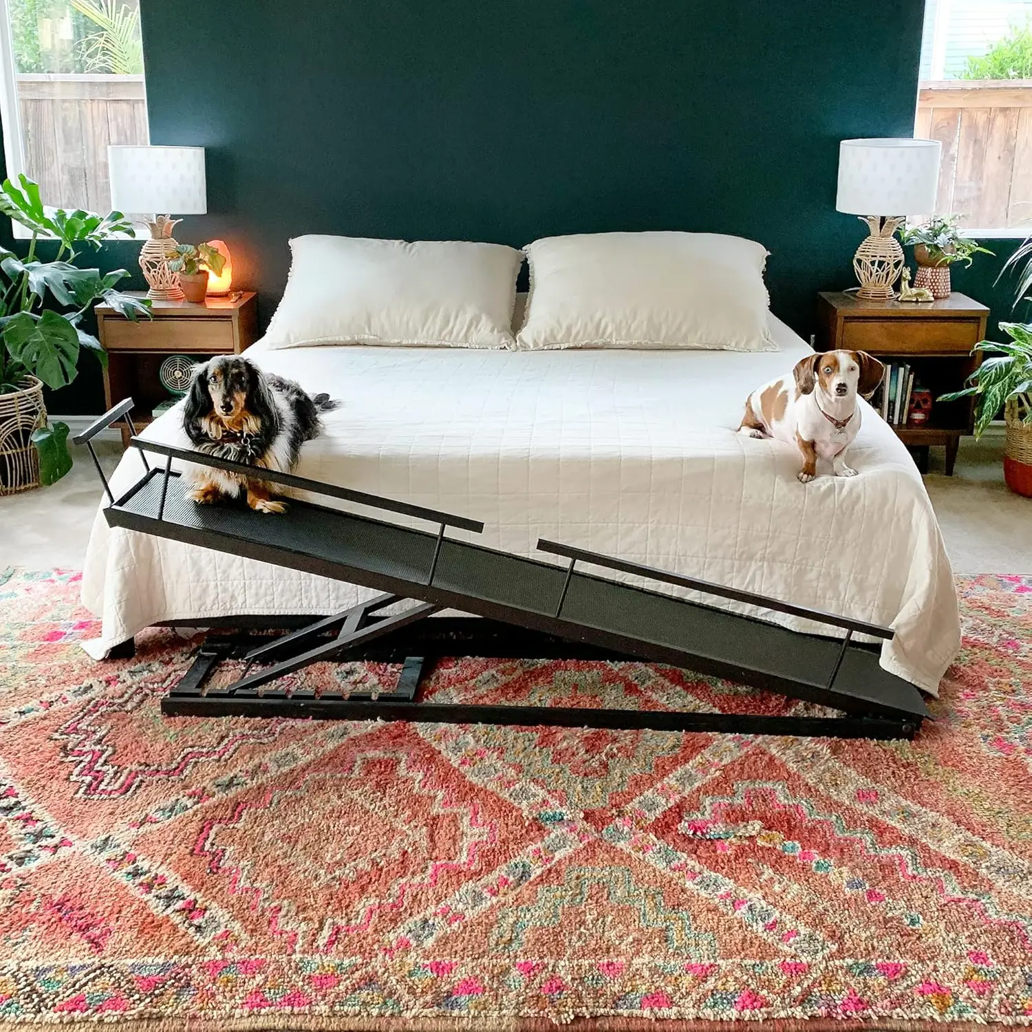 Dog Ramp for Beds-Solid Hardwood with 5 Finish Options-Adjustable up to 37" High Beds with Low Incline, Safety Rails & Anti-