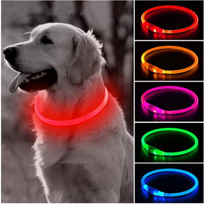 Collar con luz para perro, luminosa de carga USB, desmontable, brillante, para gato grande, pequeño, Labrador, productos para mascotas| - AliExpress