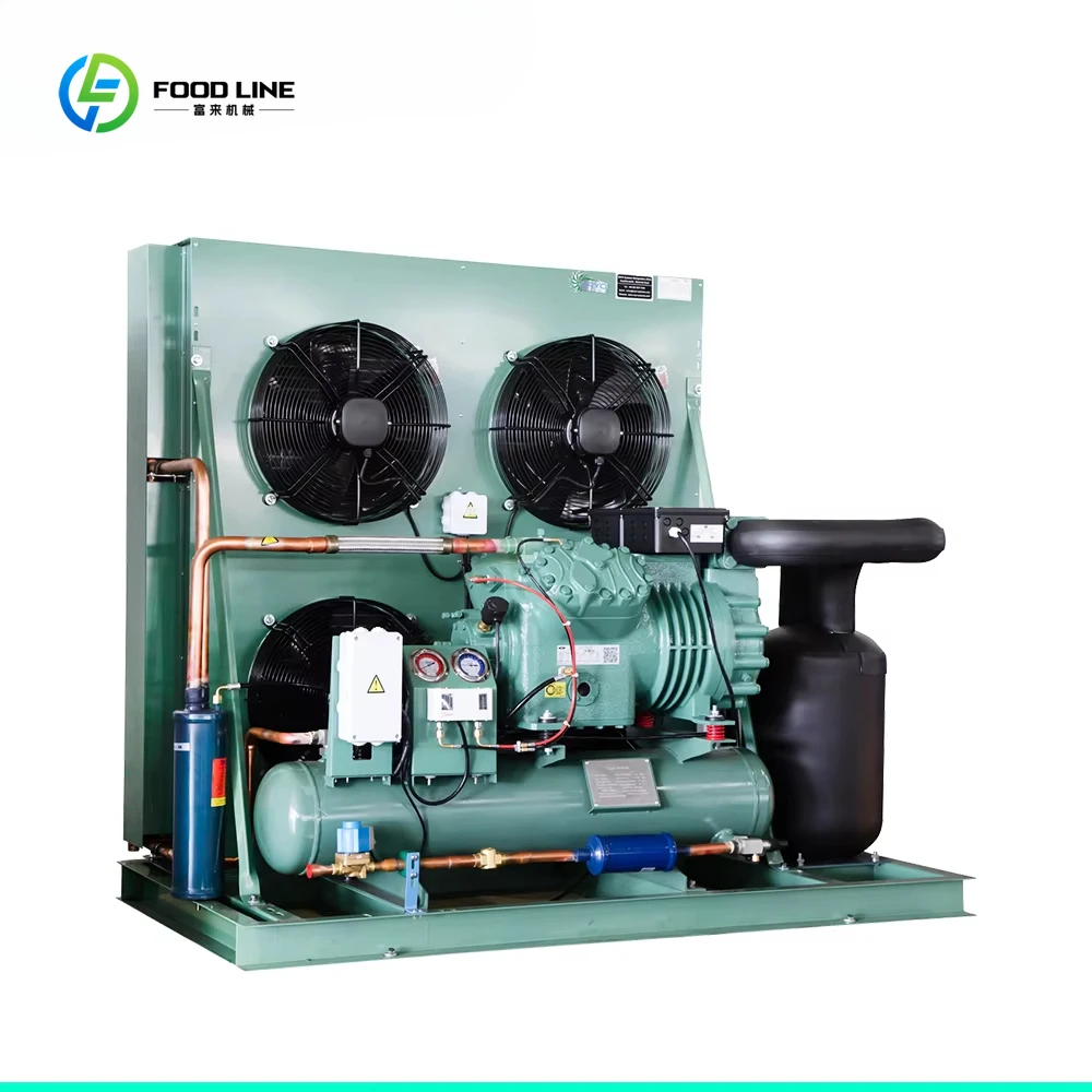 ชุดคอมเพรสเซอร์แบบกึ่งสุญญากาศแบบกำหนดเองได้ ระบบทำความเย็นแบบระบายความร้อนด้วยอากาศ สำหรับห้องเย็น ห้องแช่แข็งแบบวอล์คอิน 3HP 4HP 1