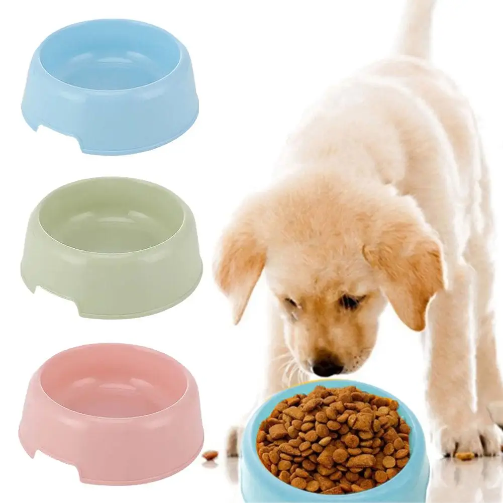 Title 5, Cat Bowl Large Cat Dog Food Bowl Pets Supplies ...