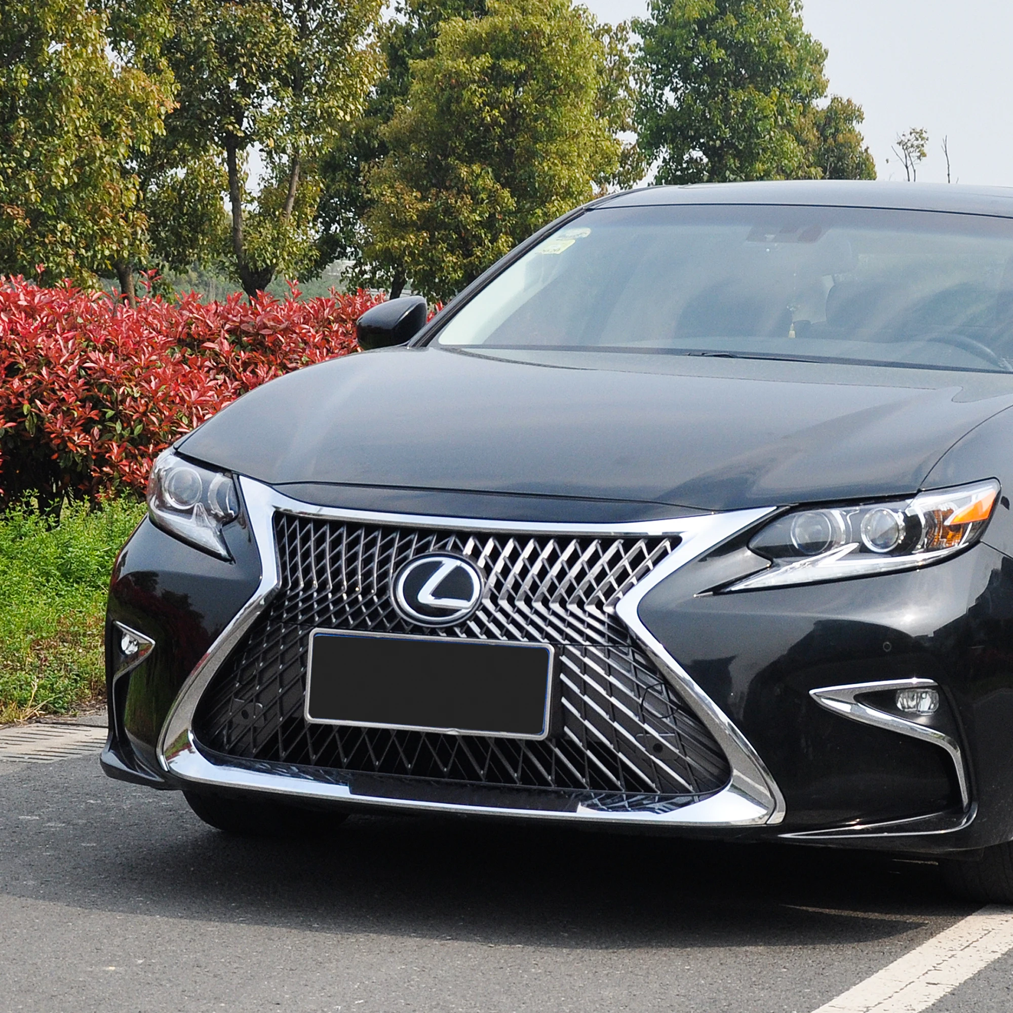 パネル ニューアートフレーム ナチュラル ABS フロントグリルレクサス