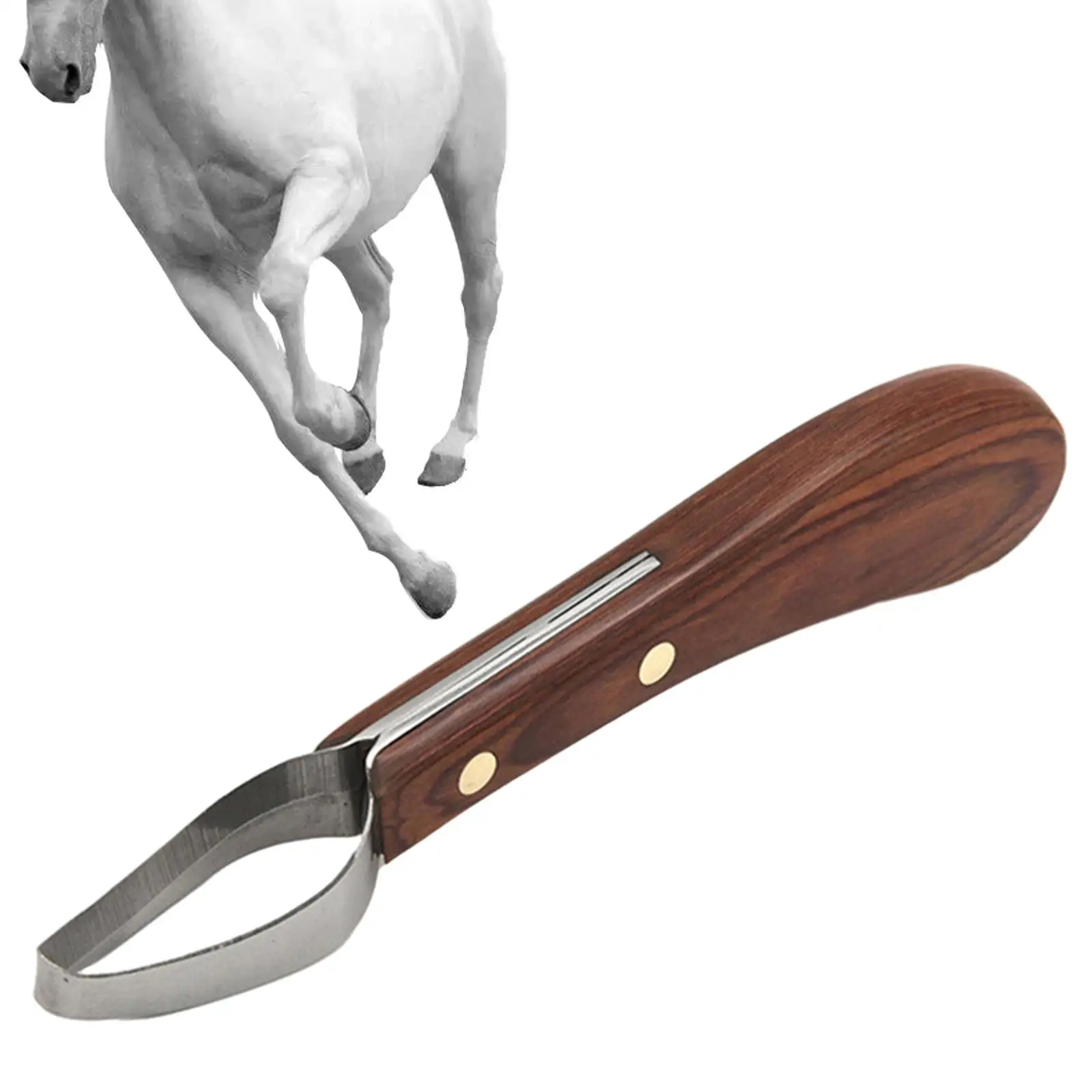 Hoof Knife Right or Left Handed Hoof Cutting Tool for Goats Sheep Horse 4