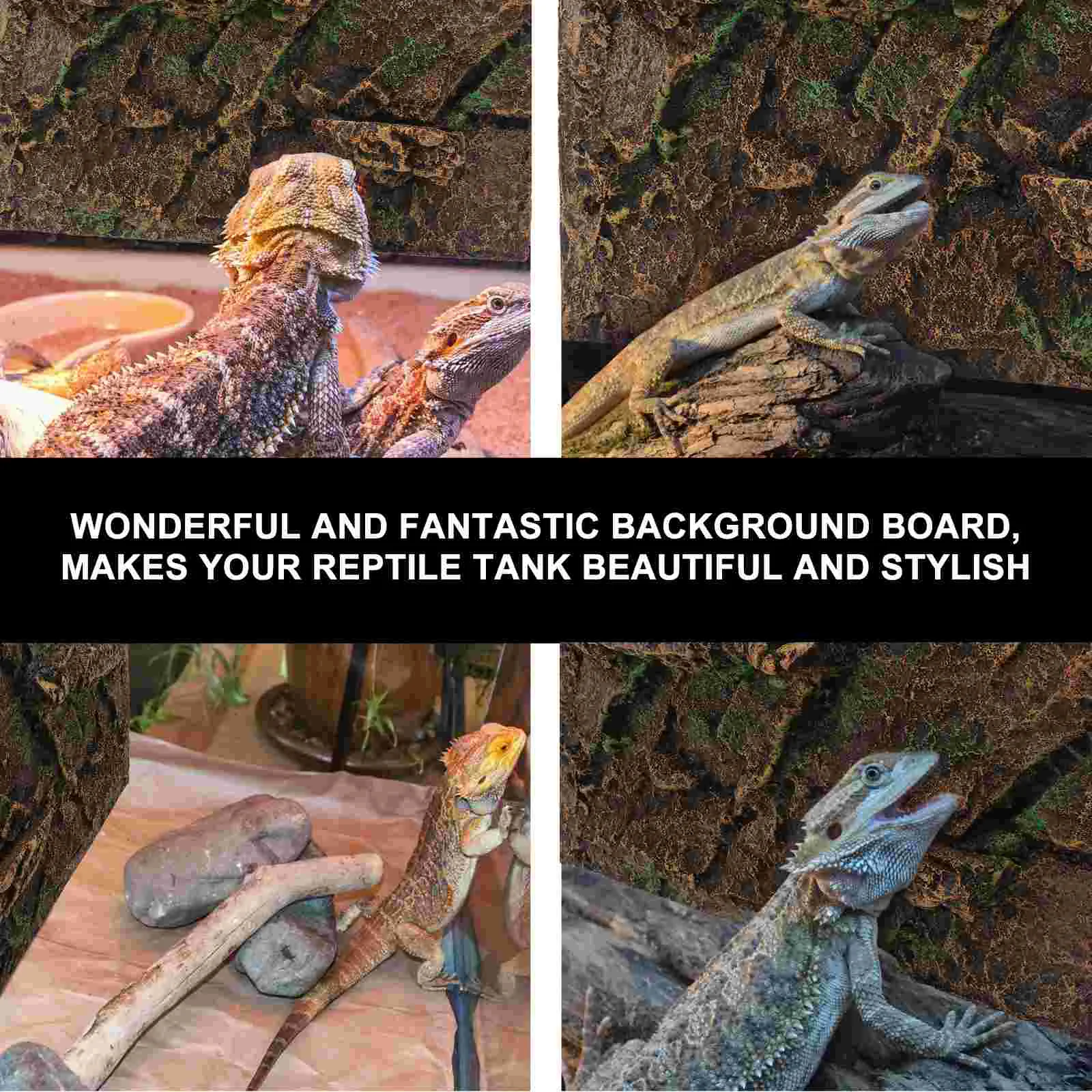 Bearded Dragon Tank Background