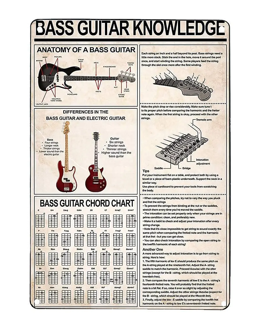 Veidsuh Bass Guitar Knowledge Metal Sign Poster Tin Sign Metal Sign Metal Tin Sign Metal Plaque