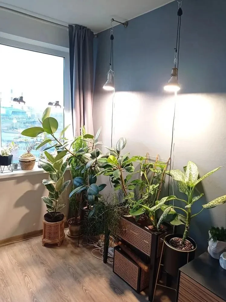 Description Picture 5 of itemLED Grow Light Bulb with Timing and Hanging System,25W Full Spectrum, 9H/12H/15H Timer, Hanging Grow Lights with 5m Power Cord
