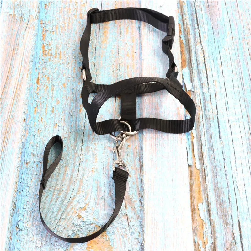 Dog Training Muzzle Muzzle, Dog Mouth and Nose Ring Training, Anti-impact Pull, Leash, Walking Pet Supplies