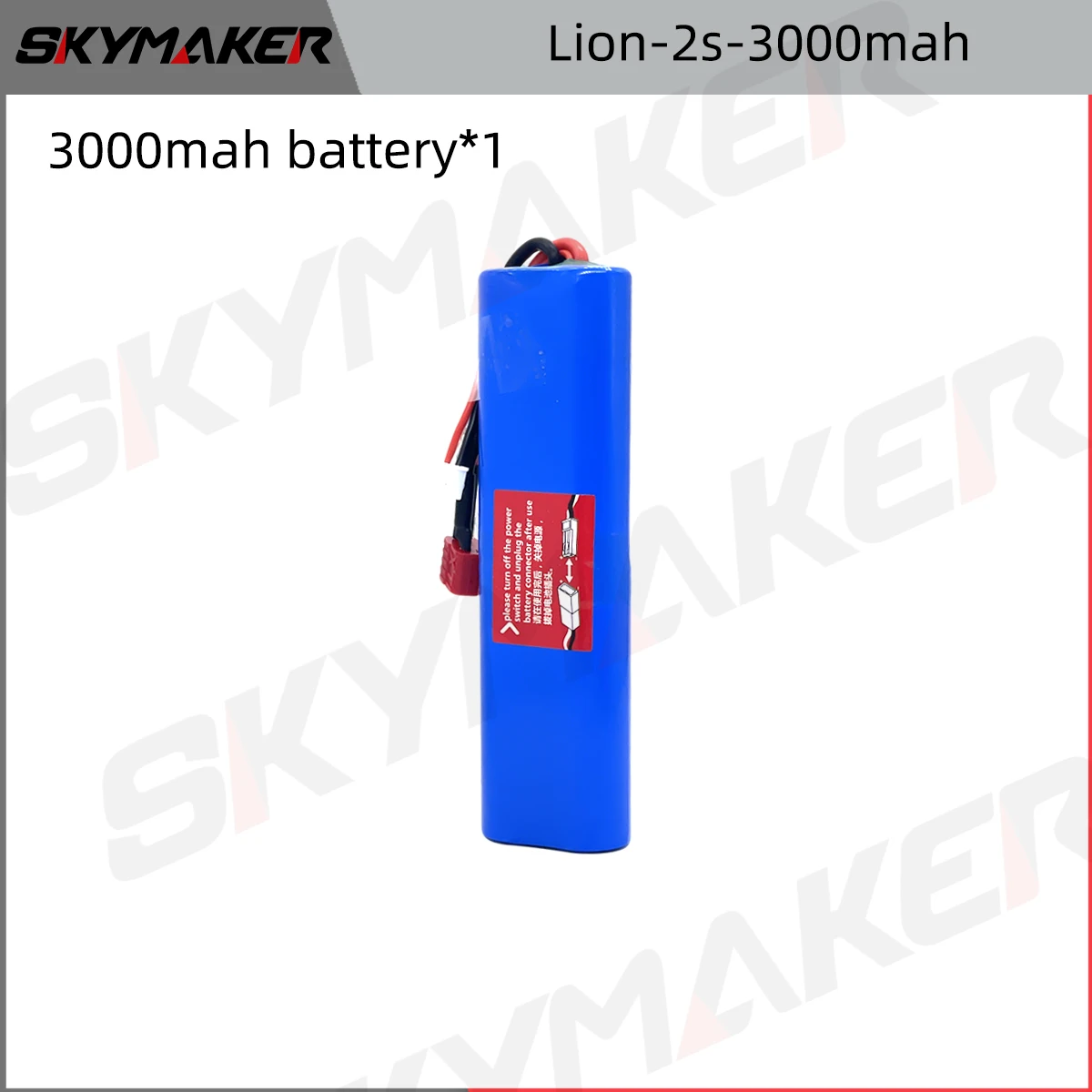 Lion-2s-30001B