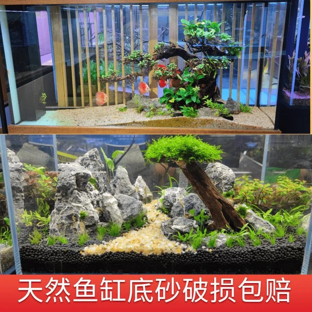 Yuhua-fondo de arena para pecera, piedra de Color para acuario, Tortuga,  hierba, paisajismo, arena blanca, Jade blanco, arena azul - AliExpress