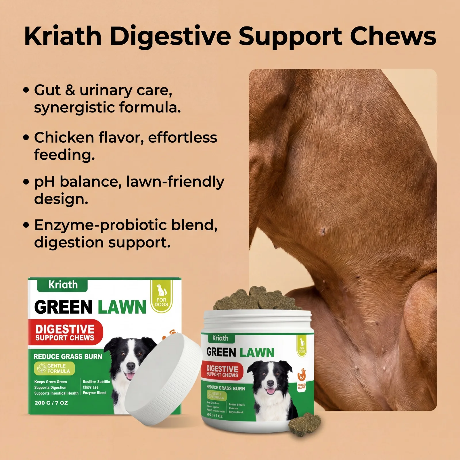 Natural Dog Digestive Support Probiotic Chews Chicken Flavored Supplement for Constipation Relief Puppy Stomach Care 200g