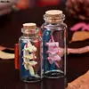 10PCS Mini Tiny  Glass Bottles with Cork Stopper Clear Bottle Vial Wedding Decoration Small Clear Cork Stopper Glass Bottles 4