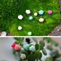 10pcs Flowers