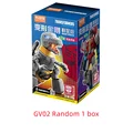 GV02 Random 1box