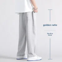Autumn Casual Trousers Men's Loose Fit Sweatpants Wide Leg Straight Pants Grey Colour Seasonal Pants For Men 2
