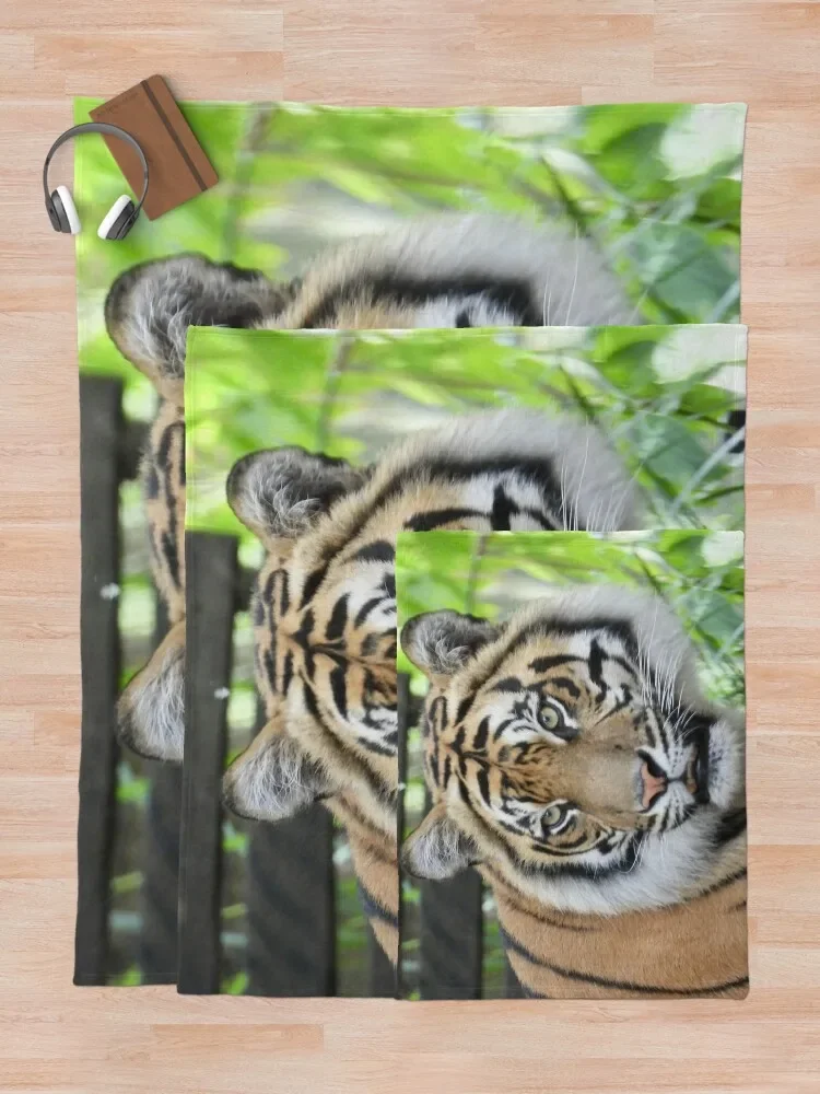 ���� ���� ���, ����Ʈ�� ȣ���� ��, ������ ������ ���