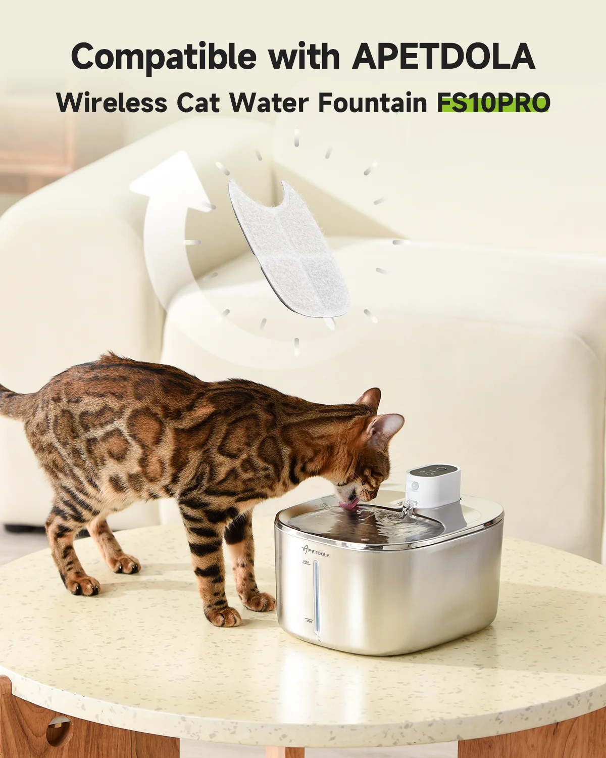 In India Best Stainless Steel Cat Water Fountain Reasons