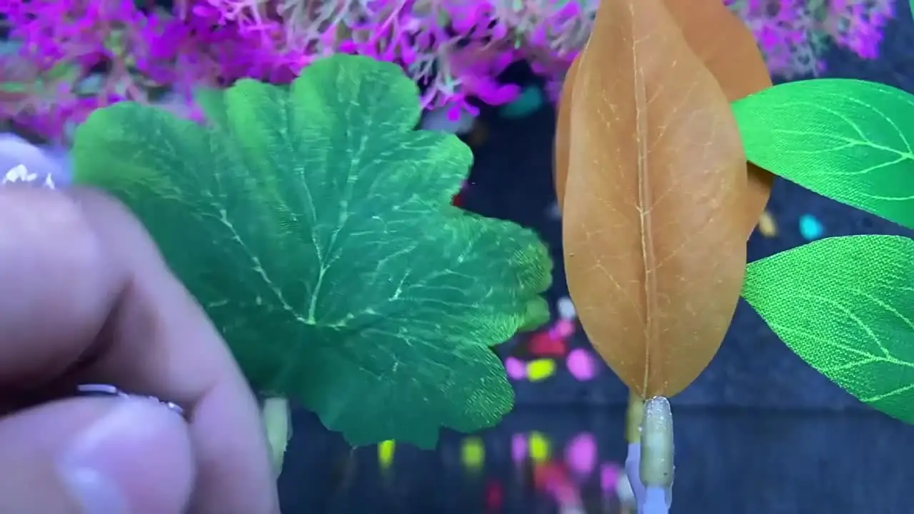 Искусственная кровать для Betta