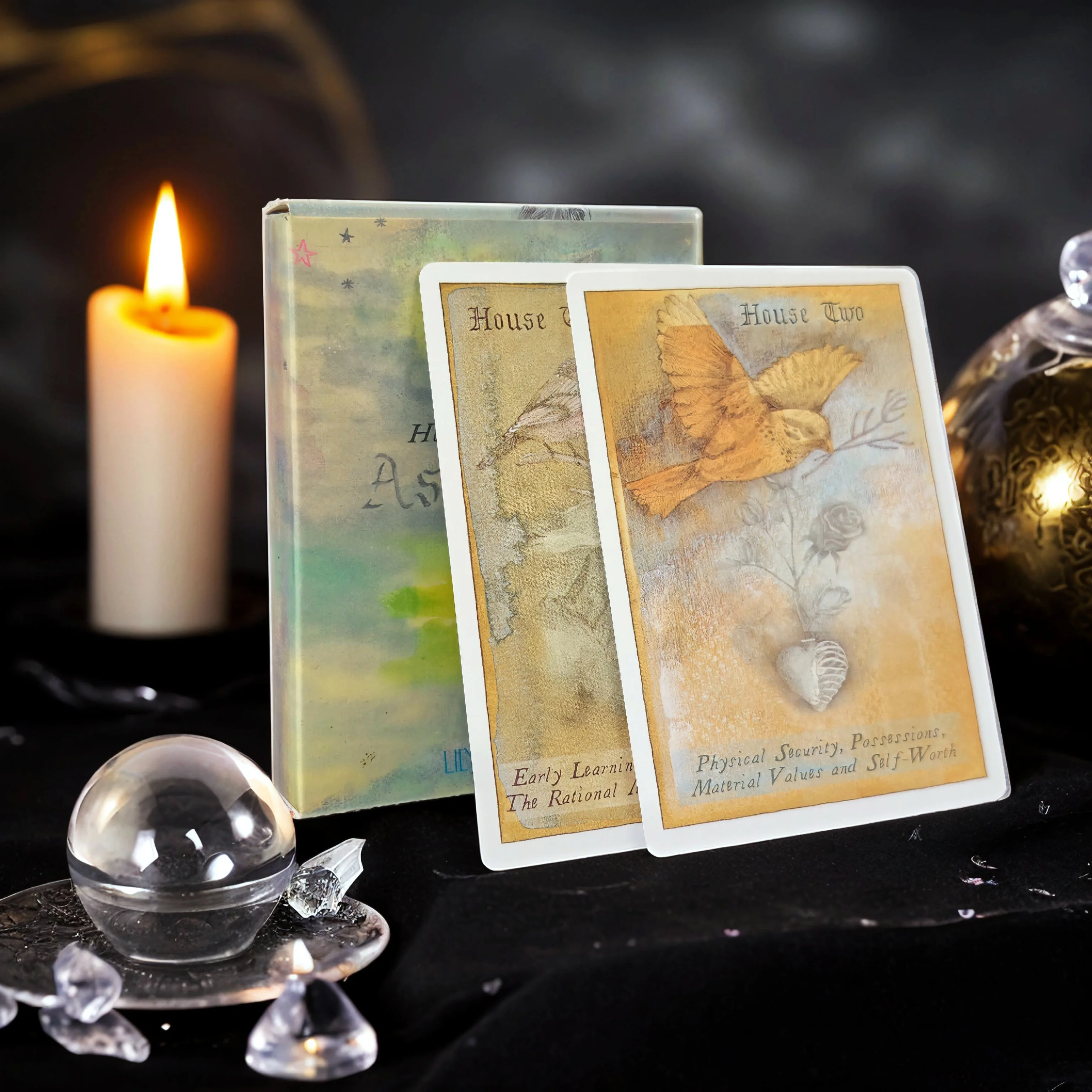 Heavenly Bodies Astrology Oracle Deck: 51 Cards Comprised of The Planets, Zodiac, The Houses, The Major Aspects 10.4*7.3cm