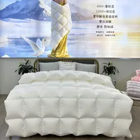 Winter Cotton Goose Down Duvet – Super Soft & Fluffy