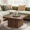 Square Coffee Table, 31.5-Inch Engineered Wood Coffee Table for Living Room, Vintage Center Table 6