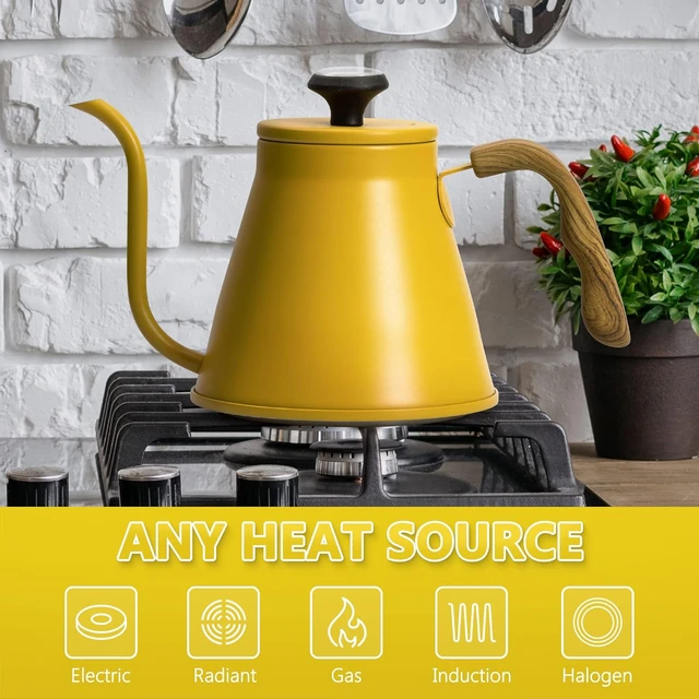 Gooseneck Pour Over Kettle 4