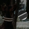 Nylon Durable Dog Collar Military Tactical Pet Training Collars Reflective Necklace With Handle Strong For Medium Large Dogs 3