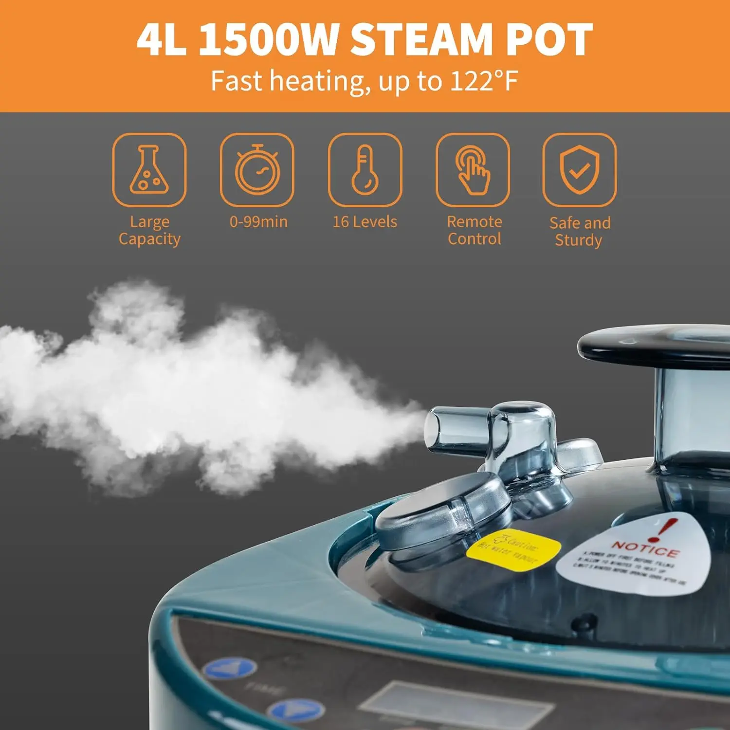 4L Sauna Steam Generator Portable Sauna Steamer with Remote Control Home Sauna Steam Pot Stainless Steel Pot 2