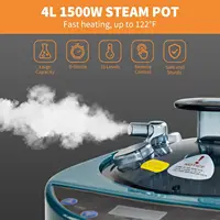 4L Sauna Steam Generator Portable Sauna Steamer with Remote Control Home Sauna Steam Pot Stainless Steel Pot 2