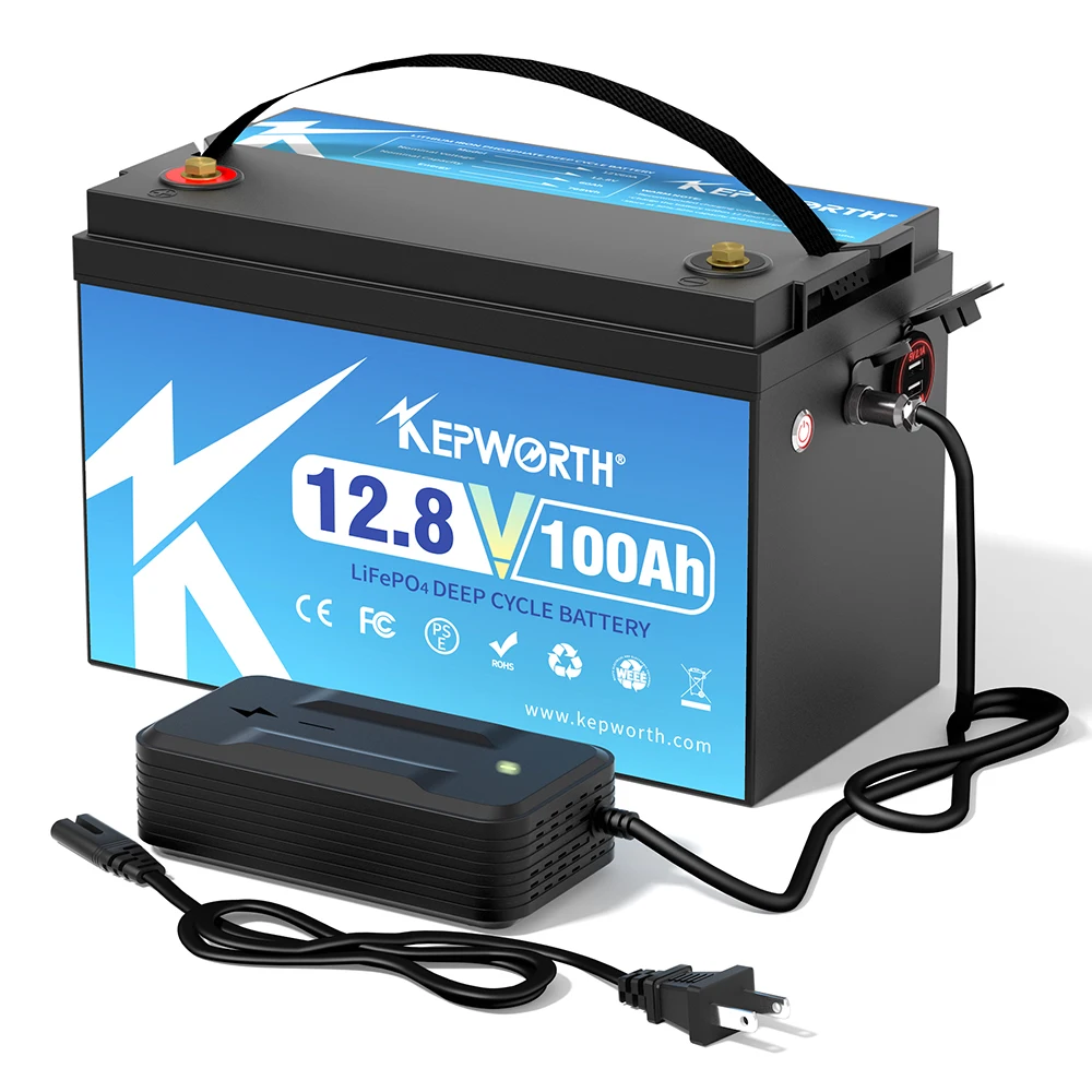 Lithium Iron Phosphate Battery 12V 24V 100Ah 120Ah 200Ah With BMS For Golf Cart EV RV Solar Energy Trolling Motor