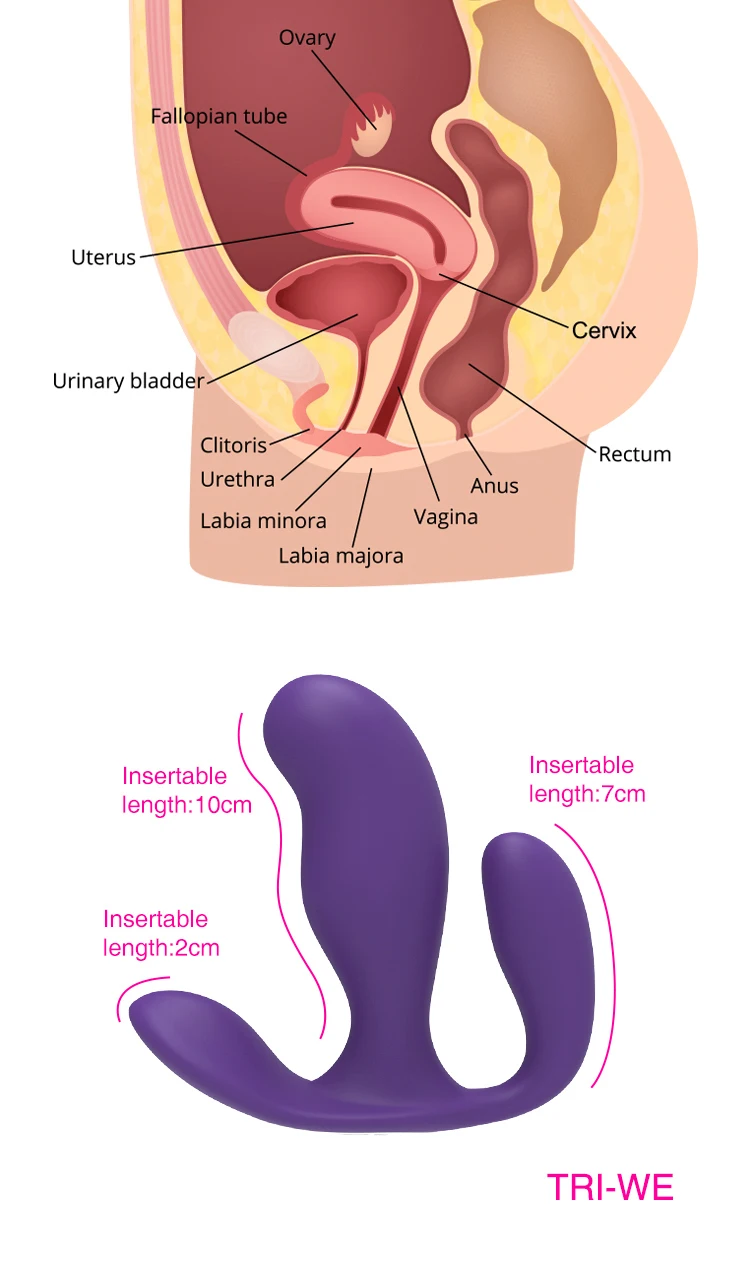 Wearable Vibrating Panties Dildo Vibrator For G Spot Stimulation_voghion.com