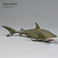 Shark-4