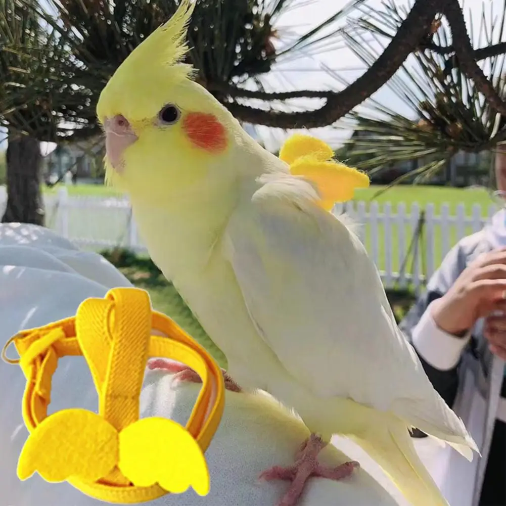 Bird Harness Leash For Cockatiel Small Birds