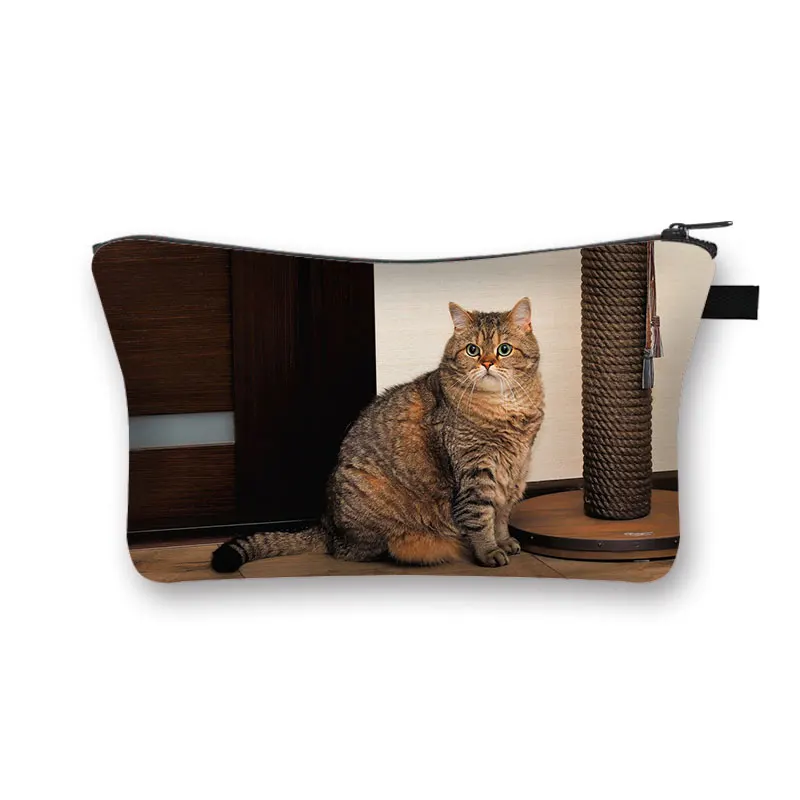 2021 New Hot  Various varieties Cat Print Cosmetic Bag  Ladies Makeup Bags  Lovely Cosmetics Pouch  Travel Cosmetic  Bag Gift 3
