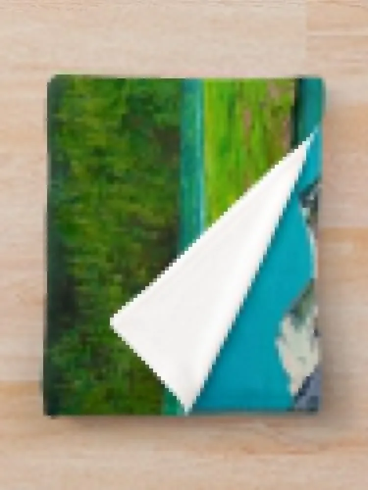 Star Lake ���ο� ���, ���Ÿ� �����̳�, ķ�� �̺� ���