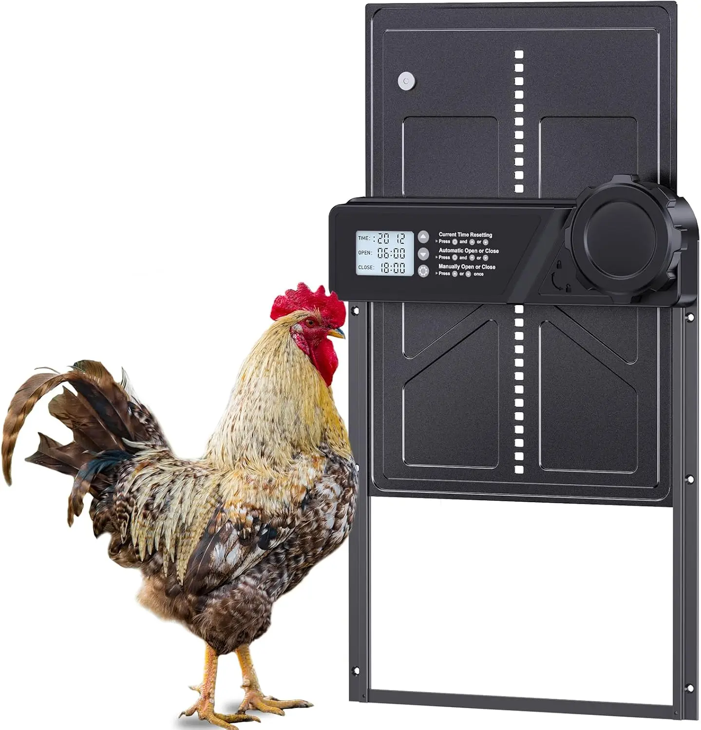 Chicken Coop Door Automatic AA Battery Powered Large Size With LCD Display Timer Setting