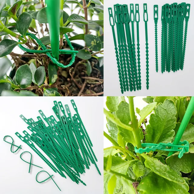 Újrafelhasználható 13,5/17,5 Cm Műanyag Növényi Tartó Klipek Bilincsek Növénytámogató Cserjék Rögzítőfa Reteszelő Nylon Állítható - Image 2