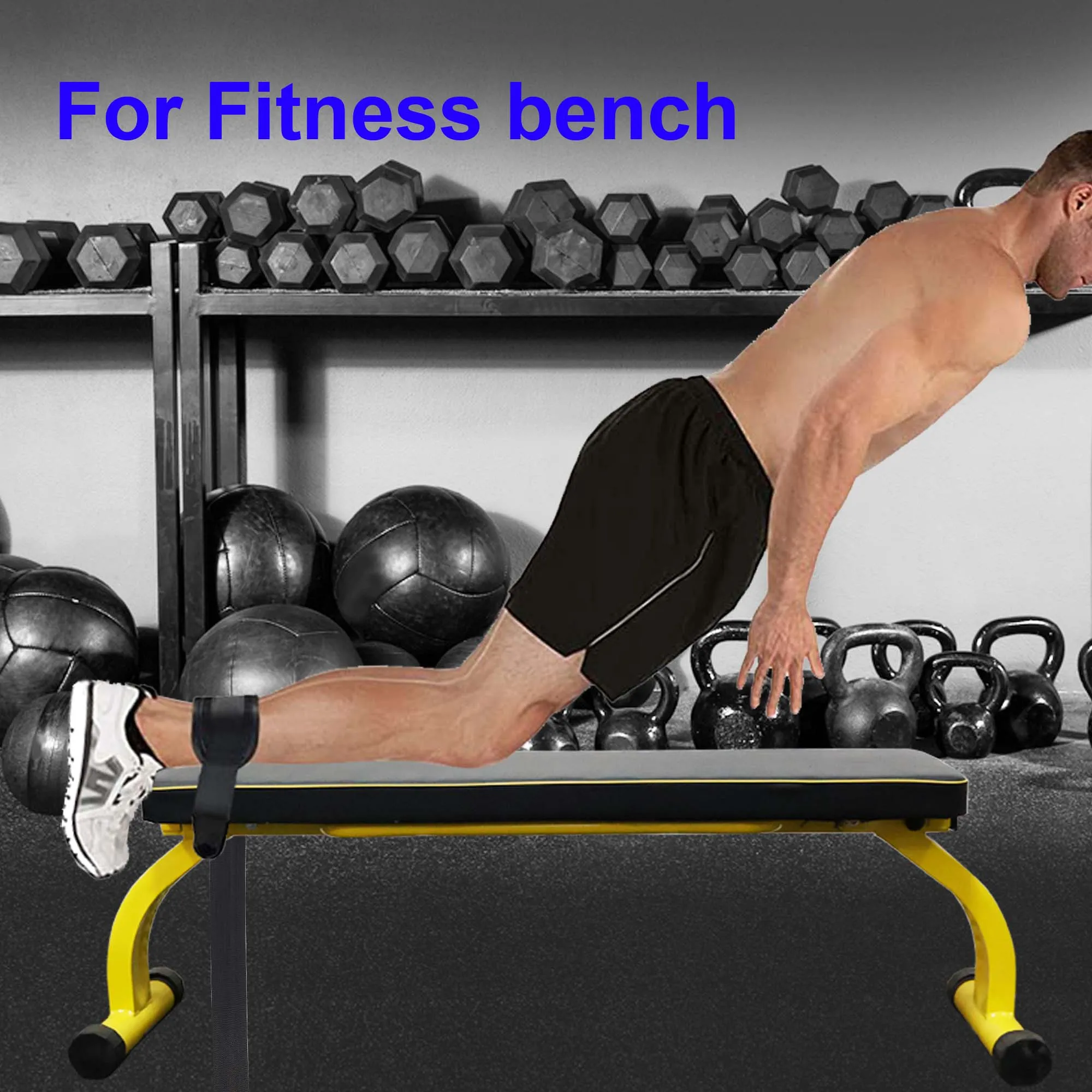 Dumbbell Bench Press Correct Form | ppgbbe.intranet.biologia.ufrj.br