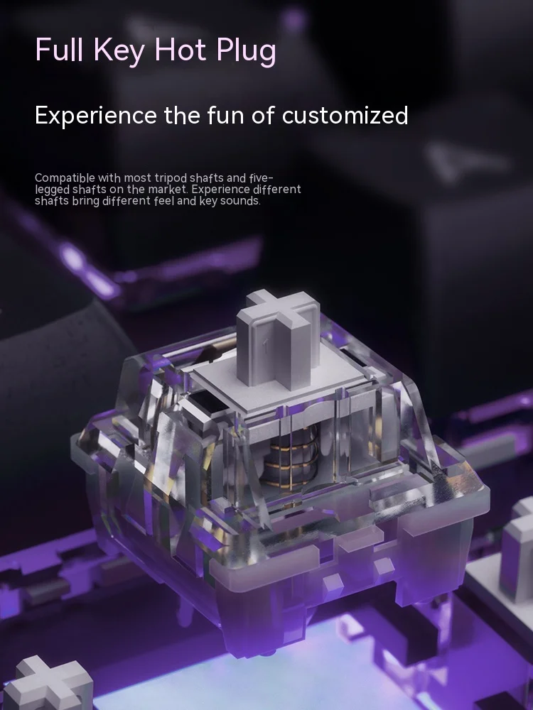 Se845b302e9bf4f63ab23883cc6c50