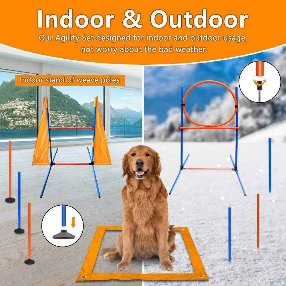 Dog Agility Training Set 4