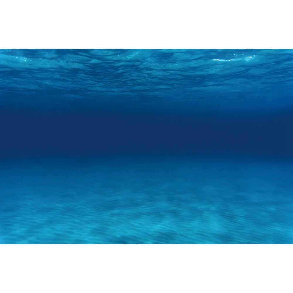 Underwater World Seabed Backdrop Ocean Undersea Sunlight Fish Coral Baby Birthday Aquarium Photography Background Photo Studio 5