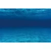 Underwater World Seabed Backdrop Ocean Undersea Sunlight Fish Coral Baby Birthday Aquarium Photography Background Photo Studio 5