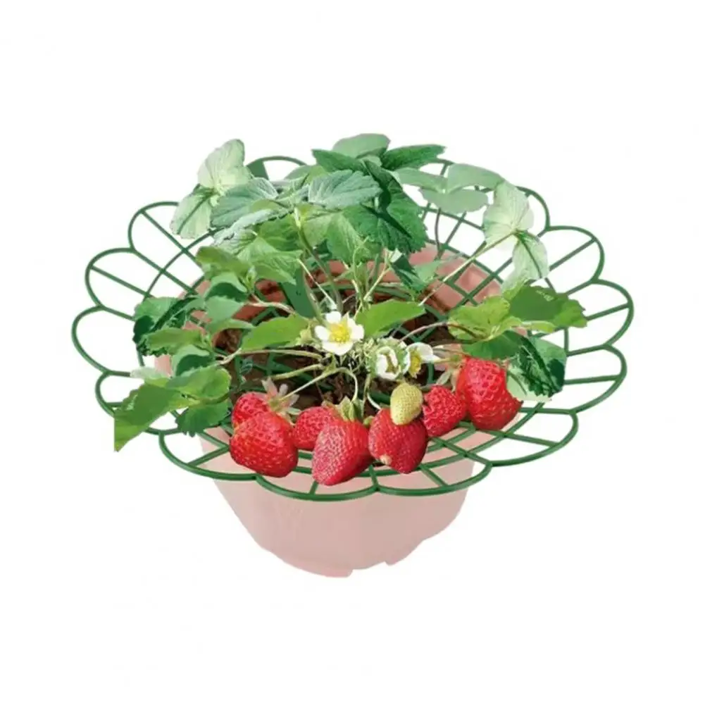 Durable Plastic Strawberry Cradle Garden Strawberry Protector Strawberry Cradle Support Trellis Planter Insert for Strawberries