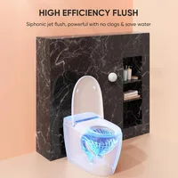 Smart Toilet with Built-in Heated Seat, Auto Flushing, Adjustable Seat Temp, Flush Remote Control, Elongated, Tankless Toilet 2