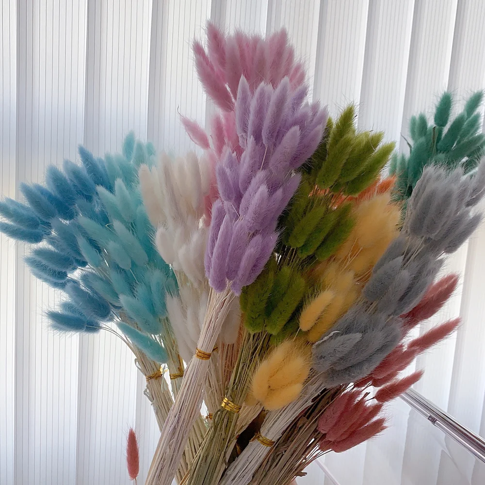 About 60 Stems of High-quality Natural Dried Flowers, Bouquets, Flower  Arrangements, Rabbit Tail Grass 